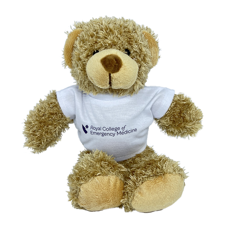 Fundraising Bear